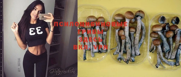 стаф Белоозёрский
