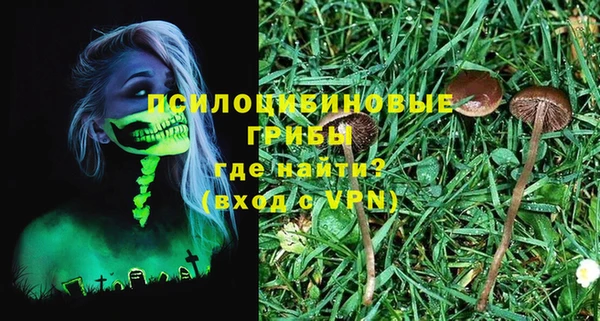 стаф Белоозёрский