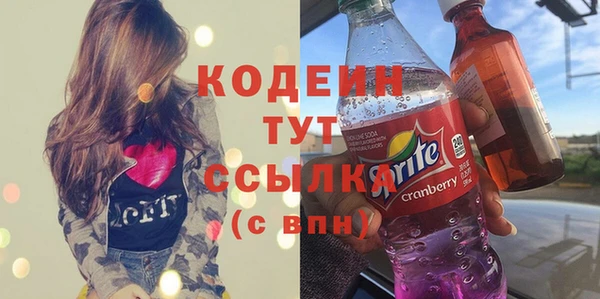 мдпв Весьегонск
