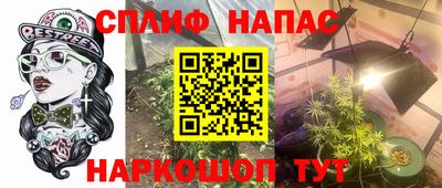 МДПВ Новозыбков