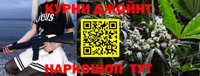 МДПВ Новозыбков