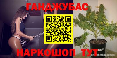 МДПВ Новозыбков