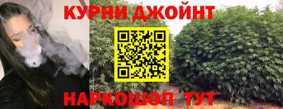 СК Новокубанск