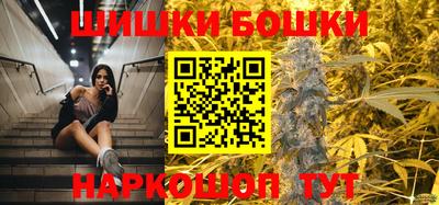 МДПВ Новозыбков