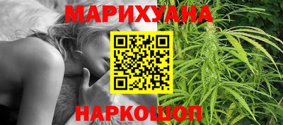 МДПВ Новозыбков