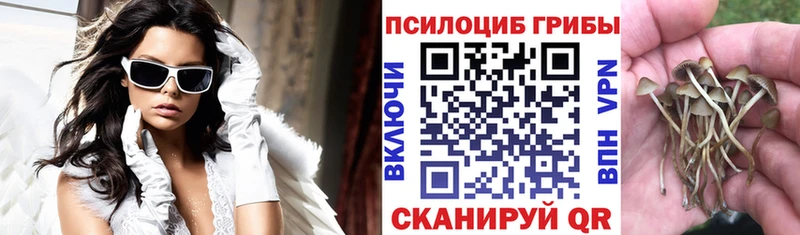Галлюциногенные грибы Psilocybine cubensis  Бутурлиновка 