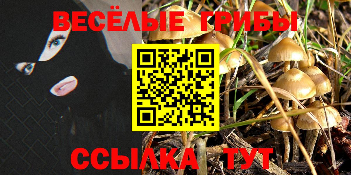 Псилоцибиновые грибы MAGIC MUSHROOMS  Вход с VPN  Бутурлиновка  Псилоцибиновые грибы MAGIC MUSHROOMS 