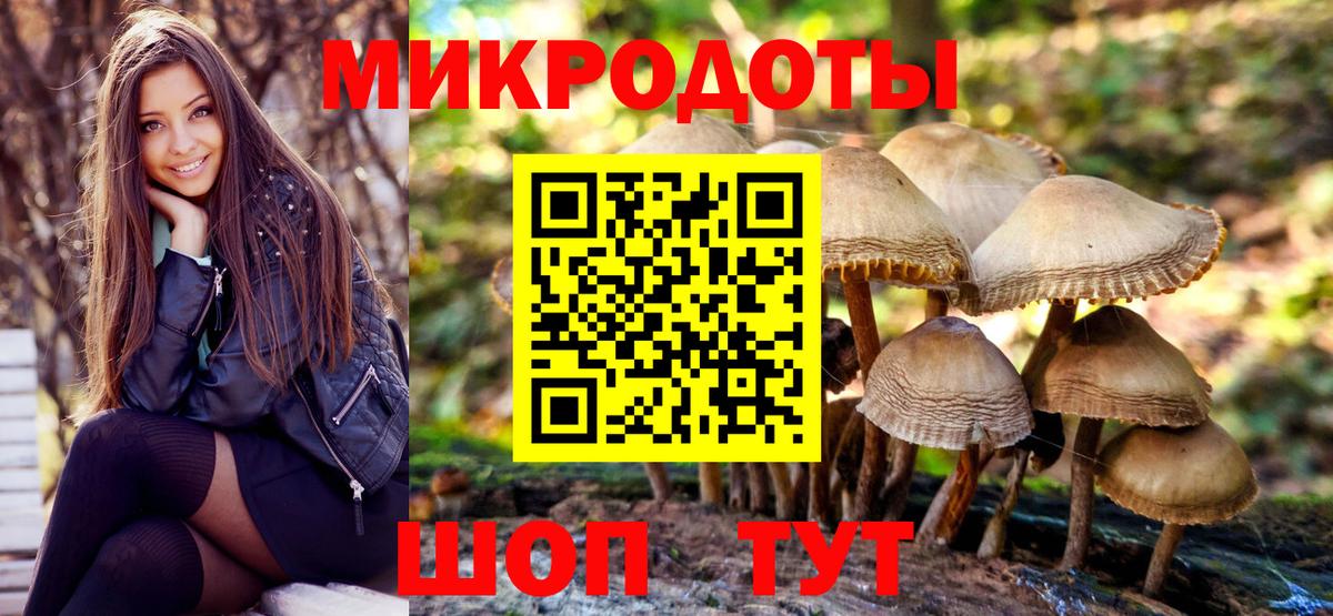 Псилоцибиновые грибы прущие грибы Бутурлиновка